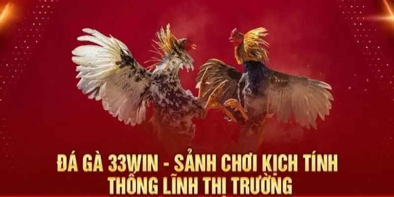 Không gian giải trí cực gay cấn tại đá gà 33win